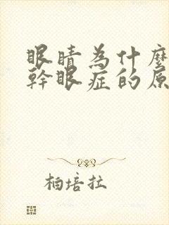 眼睛为什么会得干眼症的原因