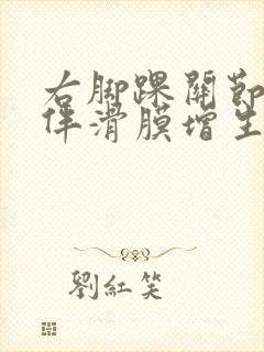 右脚踝关节积液伴滑膜增生