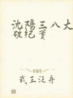 沈阳三八大案侦破纪实
