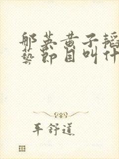 那英黄子韬的综艺节目叫什么