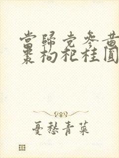 当归党参黄芪红枣枸杞桂圆的功效与作用封面