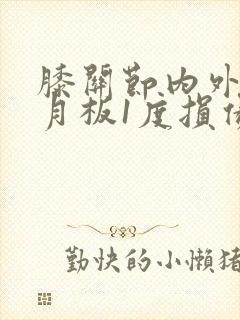 膝关节内外侧半月板1度损伤