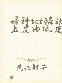 妇科tct鳞状上皮内低度病变是什么意思