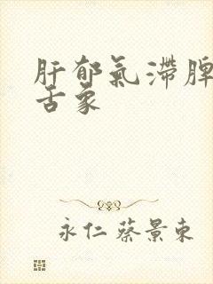 肝郁气滞脾虚的舌象封面