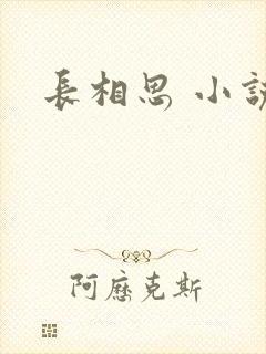 长相思 小说