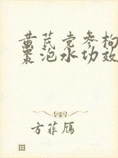黄芪党参枸杞红枣泡水功效
