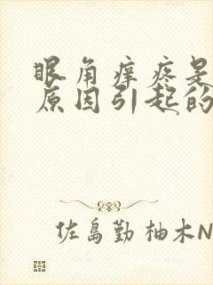 眼角痒疼是什么原因引起的