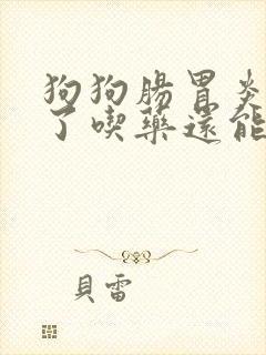 狗狗肠胃炎,除了吃药还能怎么样?