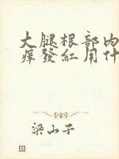 大腿根部内侧瘙痒发红用什么药