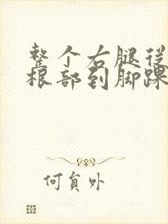 整个右腿从大腿根部到脚踝酸疼