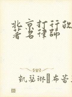 北京打行政诉讼著名律师
