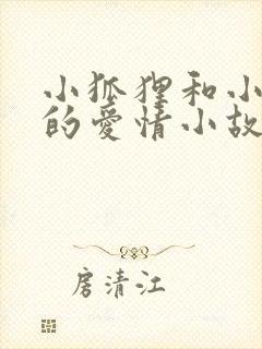 小狐狸和小兔子的爱情小故事封面