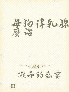 母狗得乳腺炎怎么治
