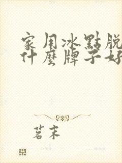 家用冰点脱毛仪什么牌子好