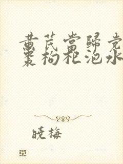 黄芪当归党参红枣枸杞泡水喝有什么功效