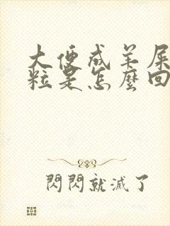 大便成羊屎蛋颗粒是怎么回事