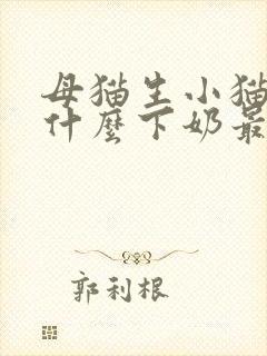 母猫生小猫后吃什么下奶最快封面
