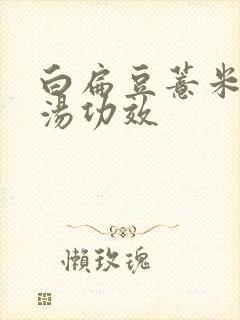 白扁豆薏米冬瓜汤功效