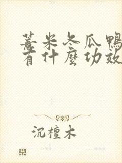 薏米冬瓜鸭子汤有什么功效呢?