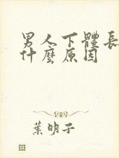 男人下体长虱子什么原因