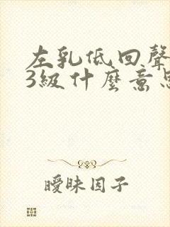 左乳低回声结节3级什么意思