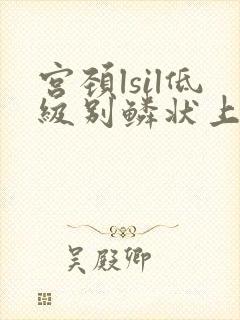 宫颈lsil低级别鳞状上皮内病变是什么意思封面