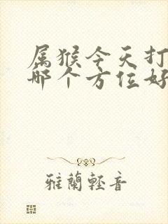 属猴今天打牌坐哪个方位好