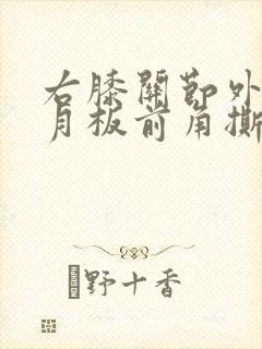 右膝关节外侧半月板前角撕裂3度封面
