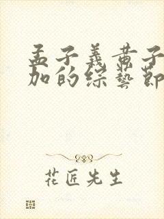 孟子义黄子韬参加的综艺节目叫什么