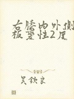 右膝内外侧半月板变性2度封面