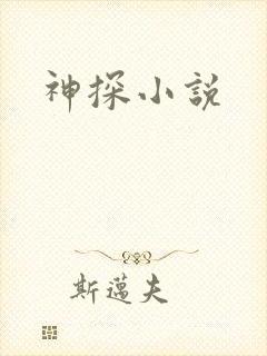 神探小说