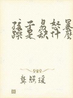 孩子易怒暴躁烦躁是缺什么封面