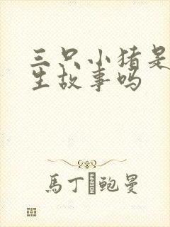 三只小猪是安徒生故事吗封面