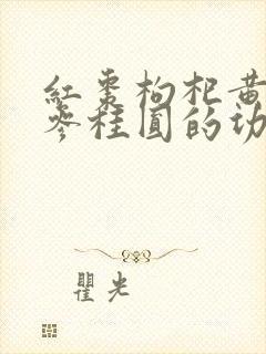 红枣枸杞黄芪党参桂圆的功效与作用