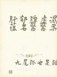 肝郁脾虚湿热内蕴名医医案封面