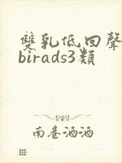 双乳低回声团块birads3类