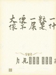 大便一粒一粒的像羊屎是什么原因