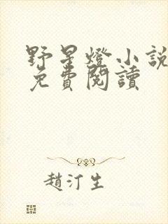 野星灯小说全文免费阅读