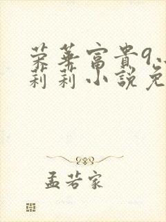荣华富贵9小王莉莉小说免费阅读