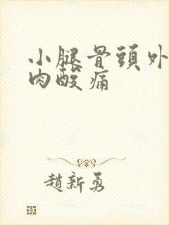 小腿骨头外侧肌肉酸痛