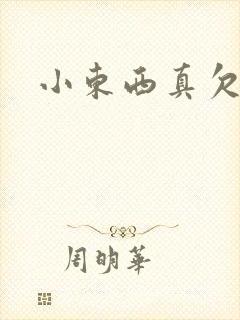 小东西真欠弄封面