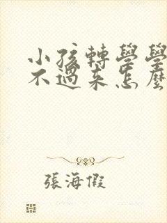 小孩转学学籍转不过来怎么办封面