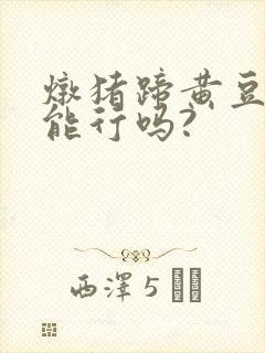 炖猪蹄黄豆不泡能行吗?