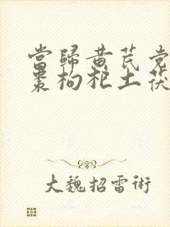 当归黄芪党参红枣枸杞土茯苓