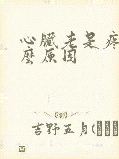 心脏老是疼是什么原因
