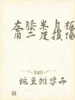 左膝半月板前后角二度损伤