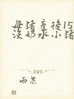 母猪产后15天没奶水小猪怎么办