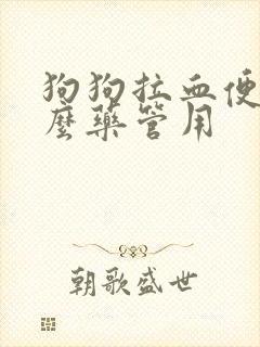 狗狗拉血便吃什么药管用