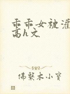 乖乖女被灌满精高h文