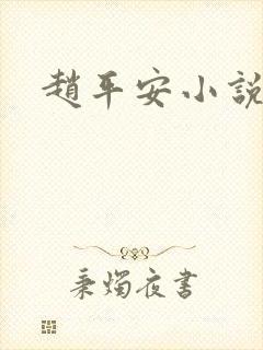 赵平安小说主角